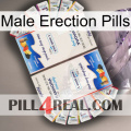 Male Erection Pills kamagra1